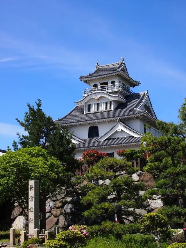 🏯 나가하마 성 역사박물관 이미지 6